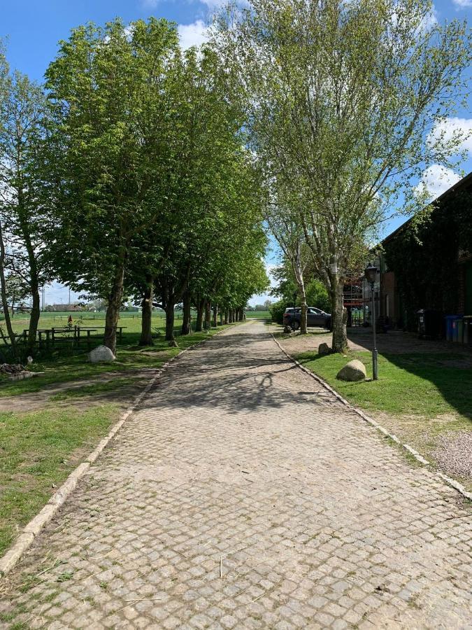 Tjarkshof Daire Friedrichskoog Dış mekan fotoğraf